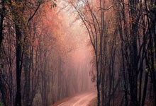 南宫体育官网:意媒:尤文引援首选托纳利,与纽卡交换他和路易斯可能性正在上升.