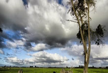 南宫体育官网:西媒:塞巴略斯伤情比预期严重,因复发风险很高皇马将谨慎对待.